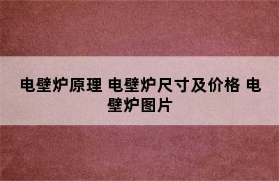 电壁炉原理 电壁炉尺寸及价格 电壁炉图片